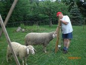 phoca-thumb-l-ausschuss-019.jpg