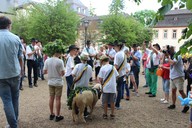 223img-8034.jpg