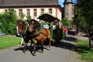 131.jpg