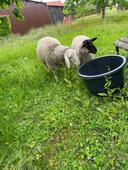 image00024.jpg